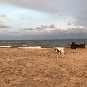 Meet your Posher, William